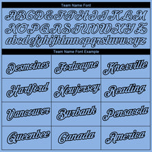 Load image into Gallery viewer, Custom Light Blue Black 3D Pattern Design Feather Performance T-Shirt