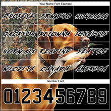 Load image into Gallery viewer, Custom Black White 3D Pheasant Hunting With Dog Sports Pullover Sweatshirt Hoodie