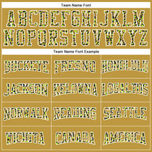 Load image into Gallery viewer, Custom Stitched Old Gold Black-White Fade Fashion Leopard Print Sports Pullover Sweatshirt Hoodie