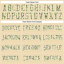 Load image into Gallery viewer, Custom Stitched Cream Black-White Fade Fashion Leopard Print Sports Pullover Sweatshirt Hoodie