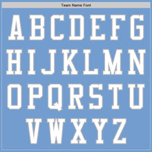 Load image into Gallery viewer, Custom Light Blue White-Gray Authentic Baseball Jersey