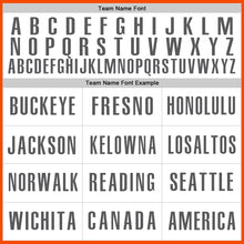 Load image into Gallery viewer, Custom Orange Steel Gray-White Authentic Baseball Jersey