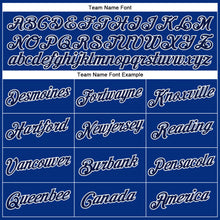 Load image into Gallery viewer, Custom Royal Gray-White Performance T-Shirt