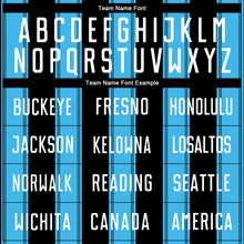 Load image into Gallery viewer, Custom Black White-Sky Blue Line Sublimation Soccer Uniform Jersey