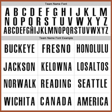 Load image into Gallery viewer, Custom Texas Orange White-Black Authentic Baseball Jersey