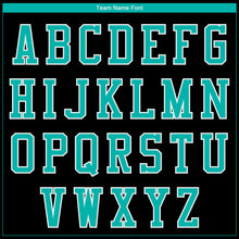 Load image into Gallery viewer, Custom Black Aqua-White Seated Cat 3D Pattern Design Bomber Full-Snap Varsity Letterman Jacket