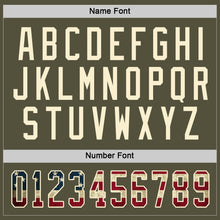 Load image into Gallery viewer, Custom Olive Vintage USA Flag Cream-Red Salute To Service Hockey Jersey