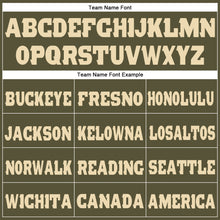 Load image into Gallery viewer, Custom Olive Cream Fleece Salute To Service Jogger Sweatpants