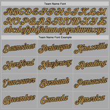 Load image into Gallery viewer, Custom Stitched Gray Old Gold-Black Sports Pullover Sweatshirt Hoodie