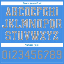 Load image into Gallery viewer, Custom Powder Blue Gray-White Stitched Adjustable Snapback Hat